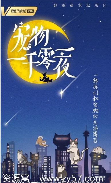 宠物一千零一夜海报