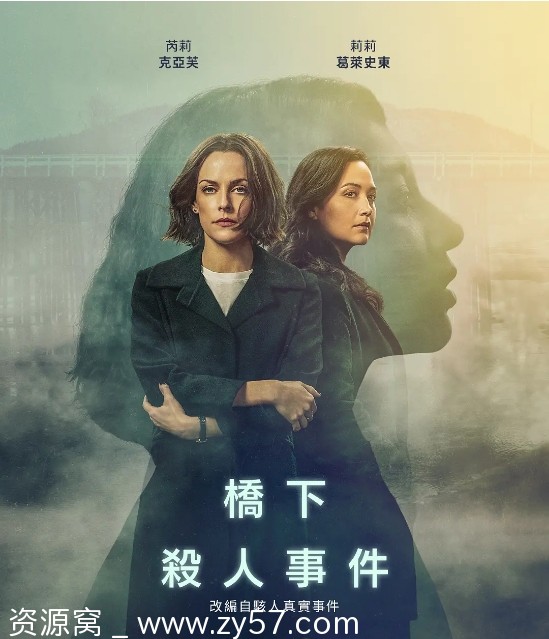 桥下杀人事件海报