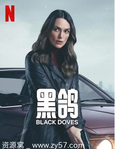 黑鸽 第一季海报