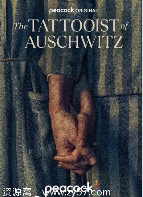 奥斯威辛的刺青师海报