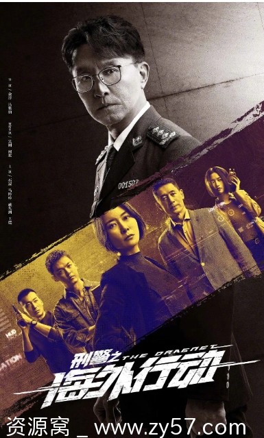 电视剧剧情/悬疑刑警之海外行动2021全集高清免费观看 - 零零盘