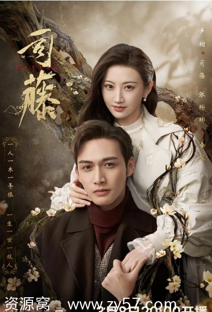 电视剧《司藤》海报