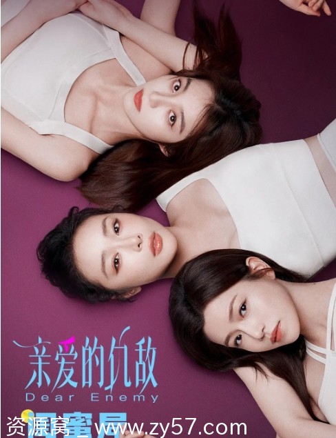 国剧推荐亲爱的仇敌2025年剧情解析 - 零零盘