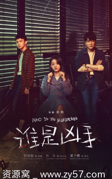 谁是凶手海报