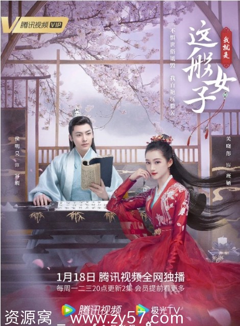 我就是这般女子剧照