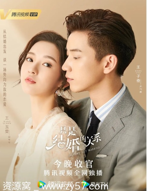 只是结婚的关系 海报