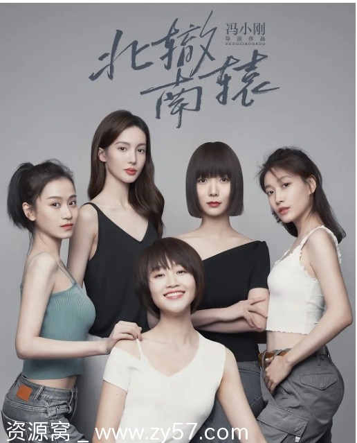 连续剧剧情 《北辙南辕》（2021）全季免费观看 - 零零盘