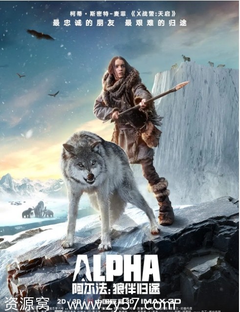 美国电影《阿尔法：狼伴归途》2018剧情解析/冒险题材豆瓣评分6.4 - 零零盘
