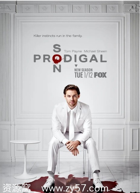 浪子神探第二季海报