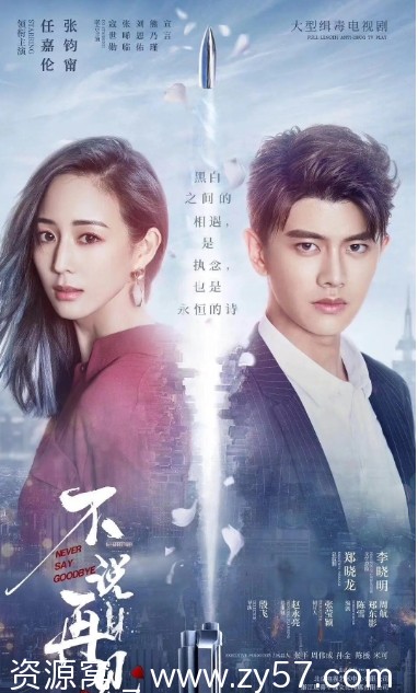 国产剧推荐剧情爱情连续剧《不说再见》2021年全集观看 - 零零盘