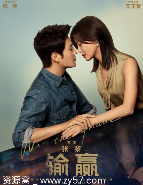 电视剧《输赢》海报