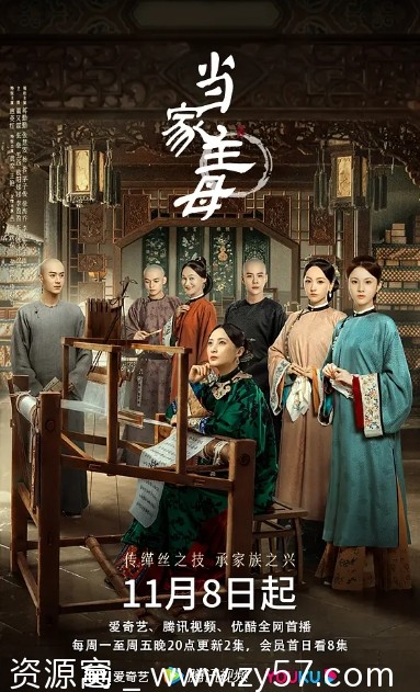 《当家主母》海报