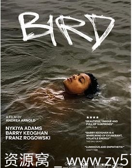 高清资源电影剧情《鸟》英国版2024年上映 - 零零盘