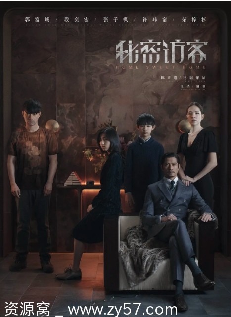 秘密访客电影海报