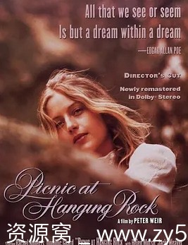 悬崖上的野餐电影海报