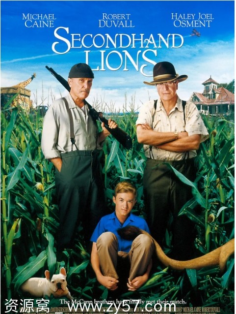 二手狮王电影海报