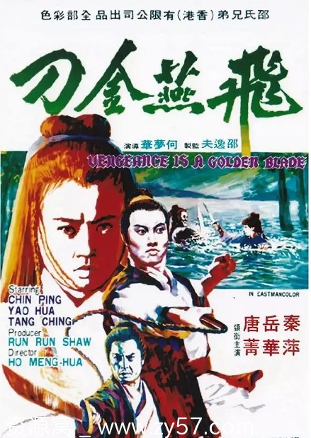 飞燕金刀电影海报