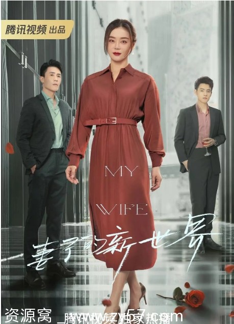 妻子的新世界海报