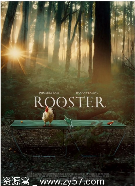 电影《公鸡》海报