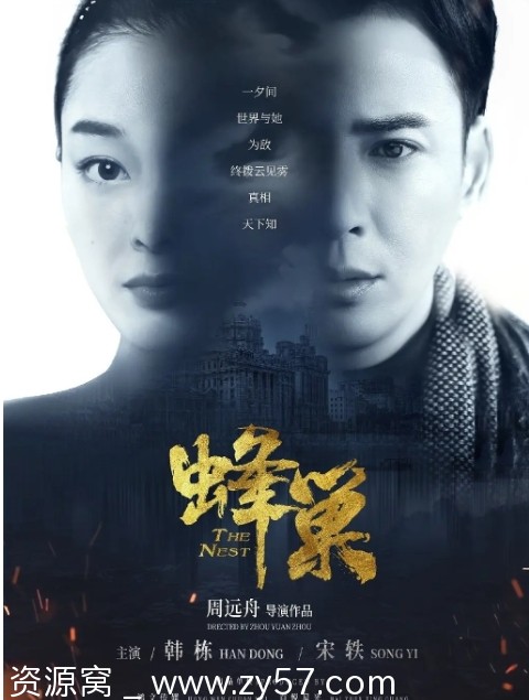 蜂巢电视剧海报