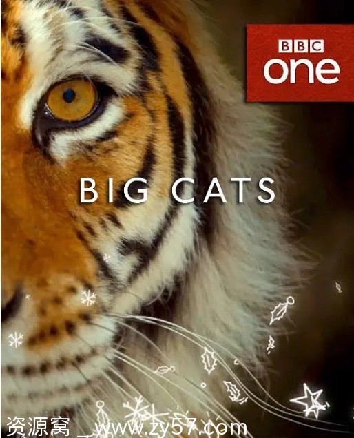英国纪录片《大猫》2018豆瓣9.5高清资源分享 - 零零盘