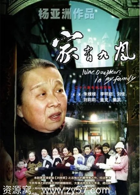 家有九凤海报