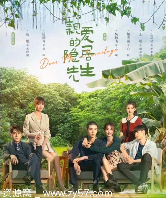 亲爱的隐居先生海报