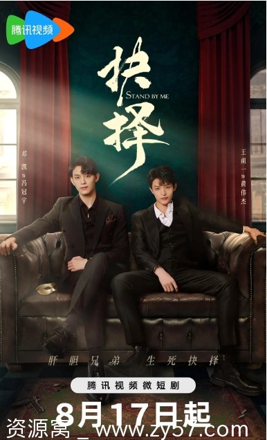 电视剧《抉择》海报