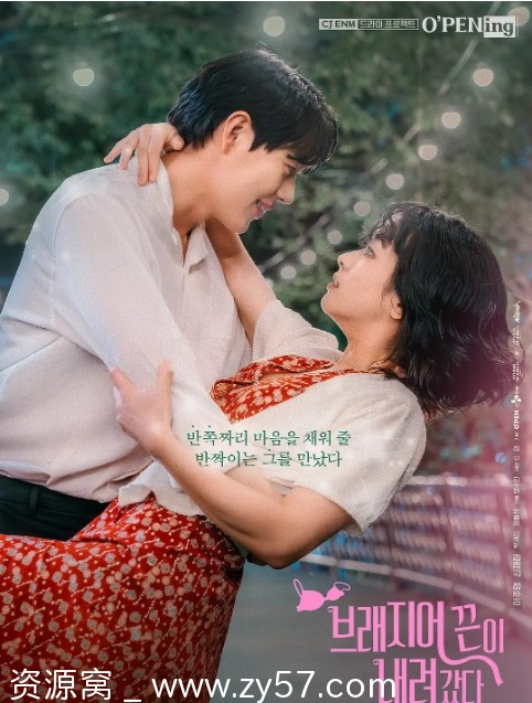 韩剧内衣带掉了2024剧情解析豆瓣评分6.0 - 零零盘