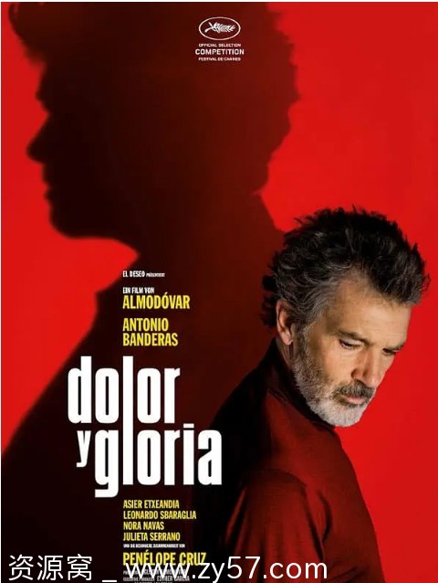 西班牙电影《痛苦与荣耀》（2019）剧情解析同性元素豆瓣评分8.5 - 零零盘