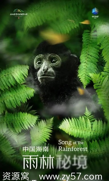 国内纪录片推荐《中国海南·雨林秘境》（2023）高清资源分享 - 零零盘