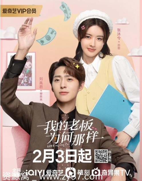 我的老板为何那样海报