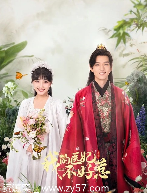 国内热门剧集推荐 爱情/短片/奇幻/古装剧《我的医妃不好惹》1-3季2023在线观看 - 零零盘