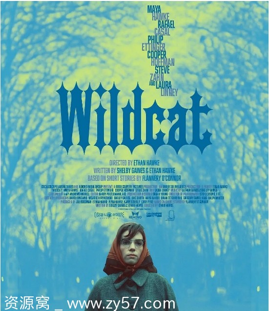 电影《野猫》海报