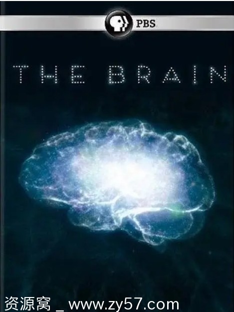 深入大脑 The Brain with David Eagleman 海报