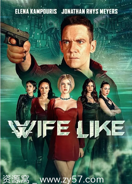 仿生人妻子电影海报
