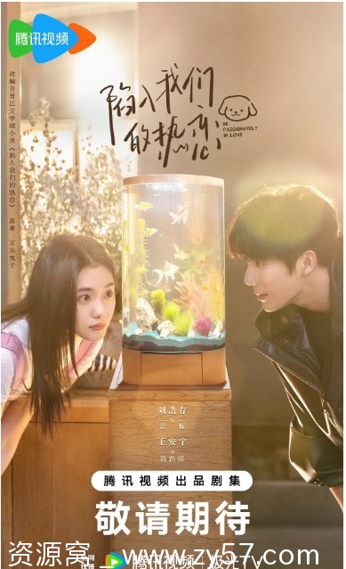 国剧推荐《陷入我们的热恋》（2025）剧情解析/浪漫爱情剧集 - 零零盘