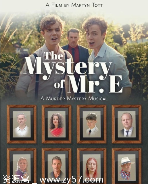 E先生之谜海报