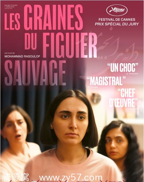 伊朗电影《神圣无花果之种》（2024）剧情解析/犯罪题材豆瓣评分7.7 - 零零盘