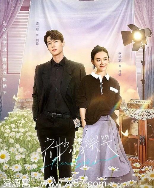 国内热门电视剧剧情爱情剧推荐《齐妙请微笑》2023版 - 零零盘