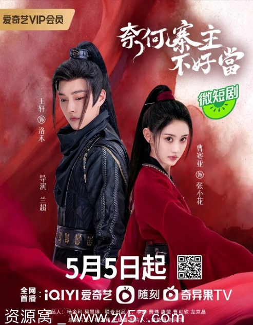 奈何寨主不好当海报