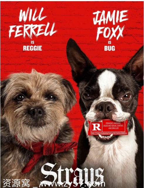 复仇狗联盟海报