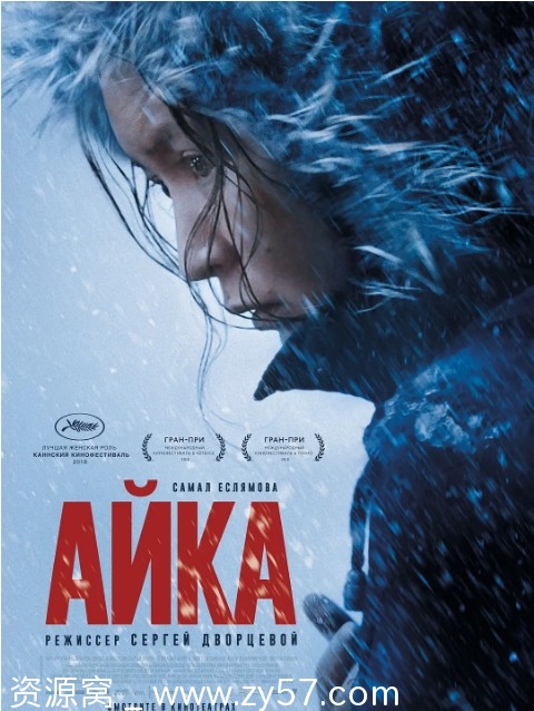 俄罗斯电影《小家伙》2018年剧情解读 豆瓣评分7.6 - 零零盘