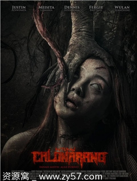 候选人阿兰的诅咒电影海报