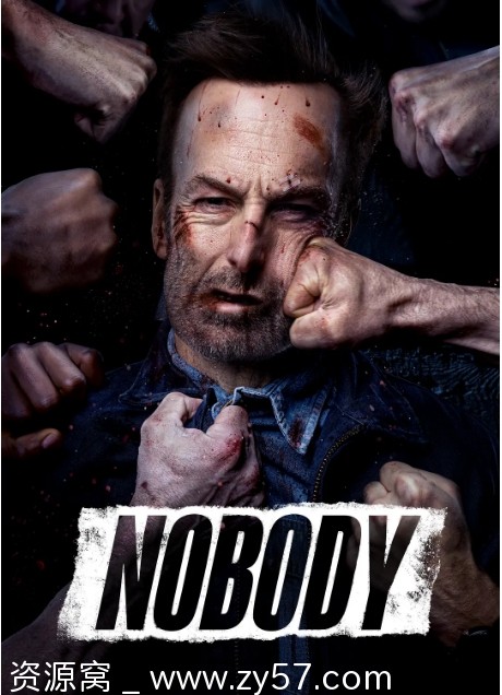 小 Nobody 电影海报