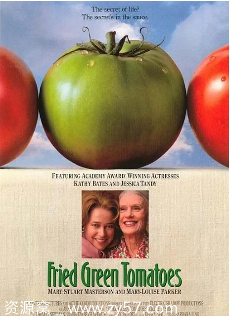 美国电影《油炸绿番茄》1991剧情解析 豆瓣评分8.8 - 零零盘