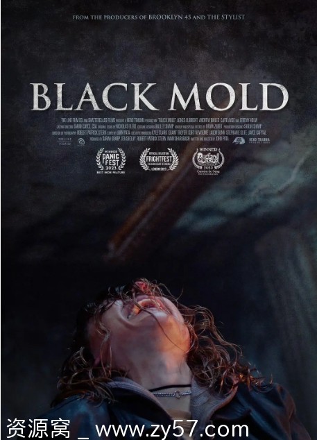 电影《黑霉》海报
