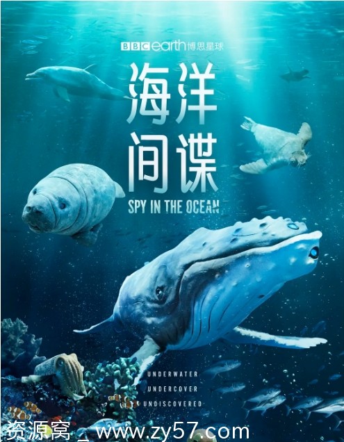 独家资源英国纪录片《海洋间谍》2023年最新版在线观看 - 零零盘