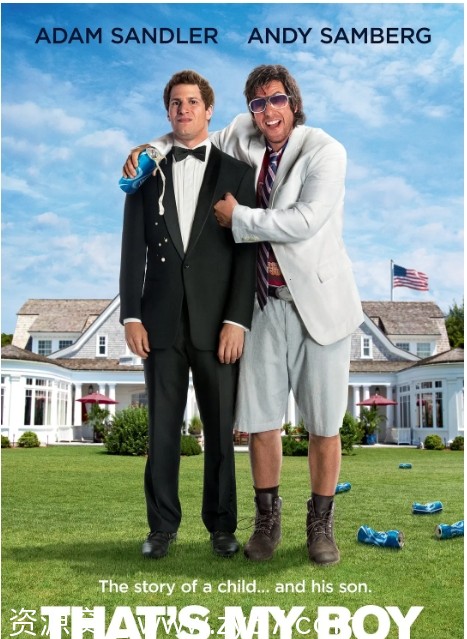 电影《爸爸的好儿子》海报