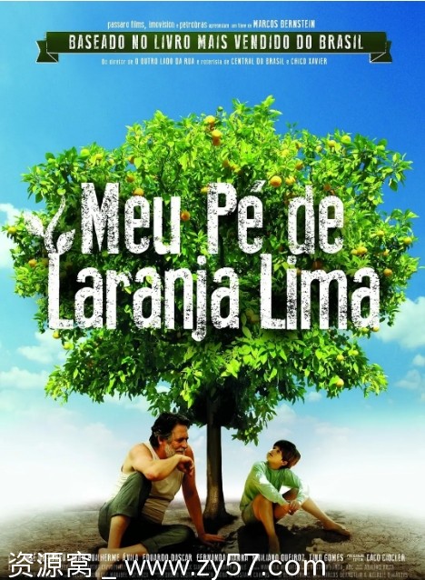 巴西电影《我亲爱的甜橙树》2012剧情解析 豆瓣评分8.4 - 零零盘